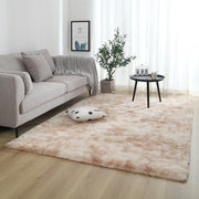 Soft Fluffy Modern Home Decor Washable Non-Slip Carpet